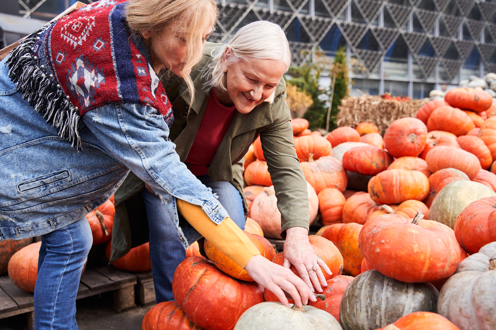 Seniors Pumpkin Picking