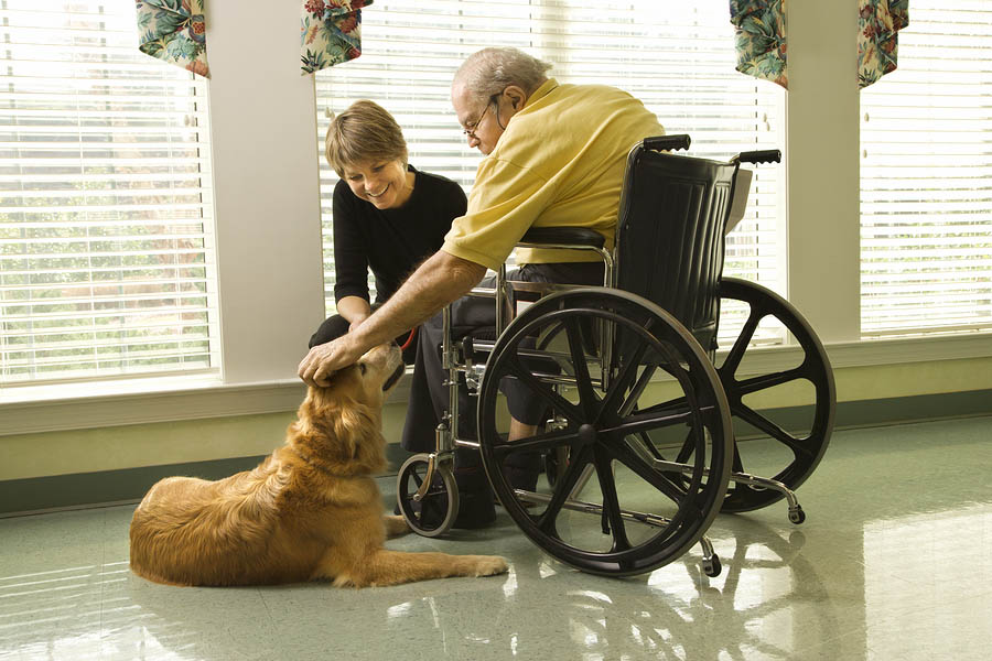 What is Pet Therapy for the Elderly?