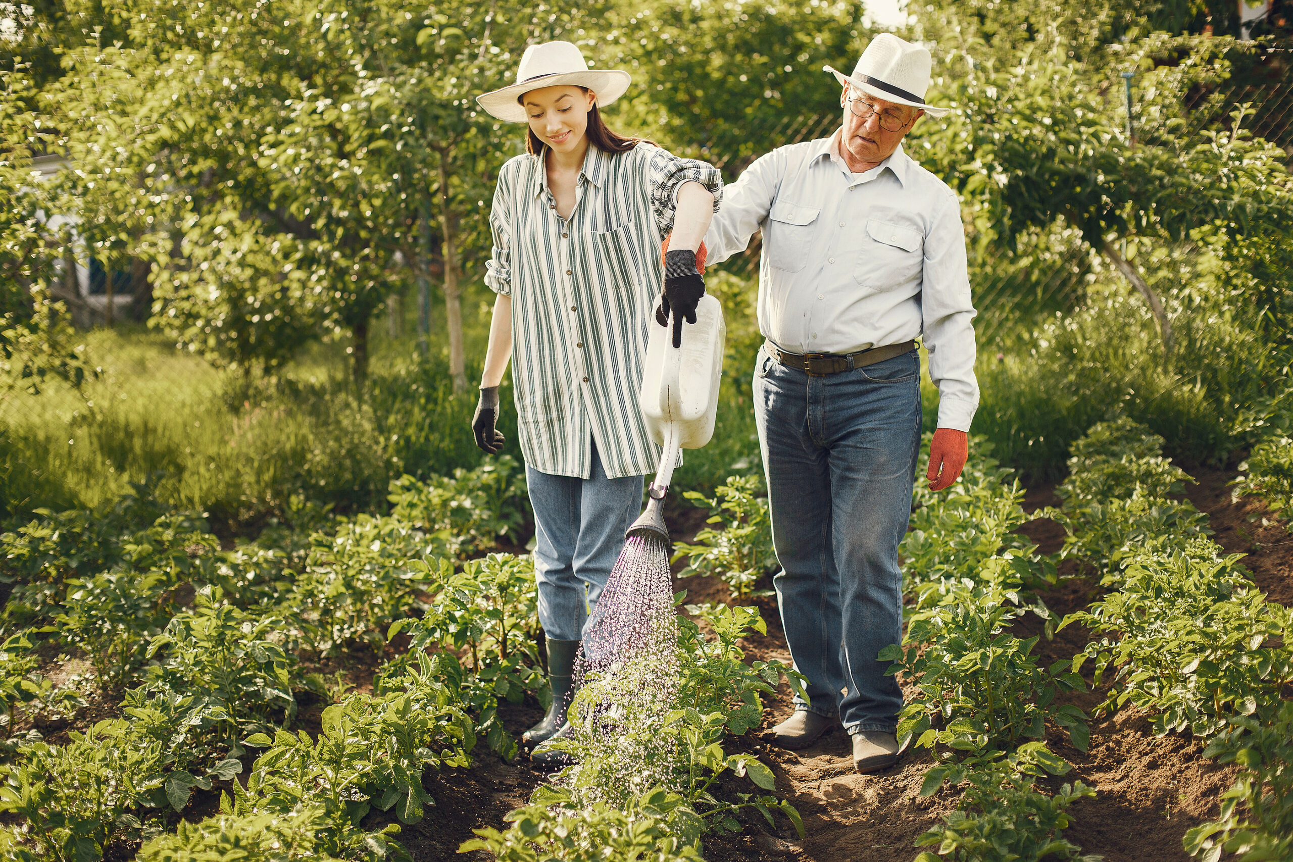 Yard Work Help for Seniors