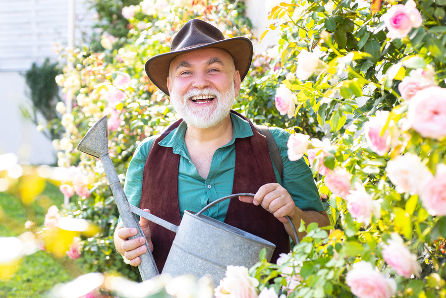 Sensory Gardens for the Elderly