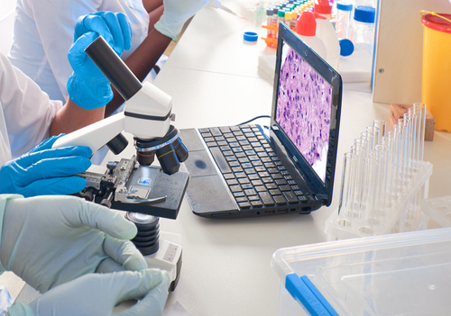 Scientists using a microscope and laptop to analyze samples in a laboratory