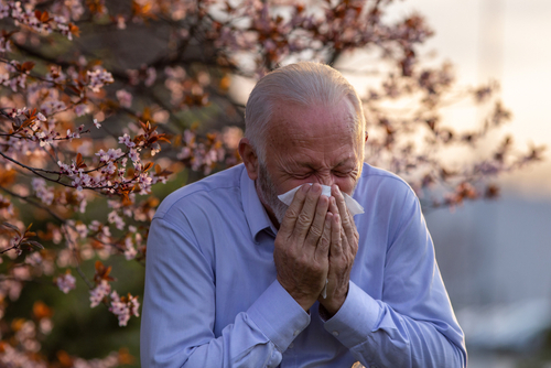 An elderly man sneezes into a tissue while standing outdoors near blooming tree branches