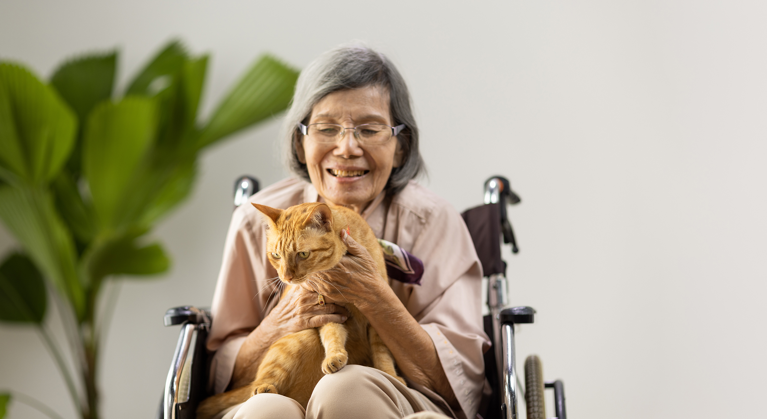 An elderly woman in a wheelchair is smiling and holding an orange cat on her lap. A green, leafy plant is visible in the background, showcasing the comfort that home health care services can bring.