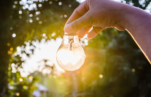 A hand holds a light bulb against a sunlit background of trees