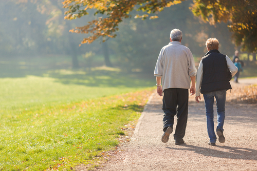 Two elderly people walking side by side on a path in a park during a sunny day